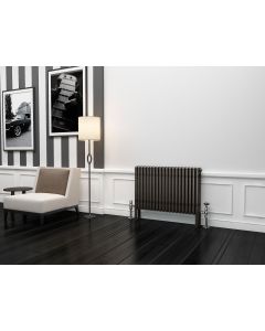Alt Tag Template: Buy TradeRad Premium Raw Metal Lacquer Horizontal 4 Column Radiator 600mm H x 834mm W by TradeRad for only £391.91 in TradeRad, Shop by Range, TradeRad Radiators, 4500 to 5000 BTUs Radiators, TradeRad Premium Raw Metal Lacquer 4 Column Radiators at Main Website Store, Main Website. Shop Now